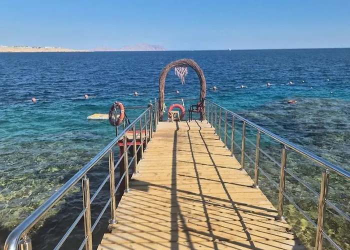 Otel Halomy