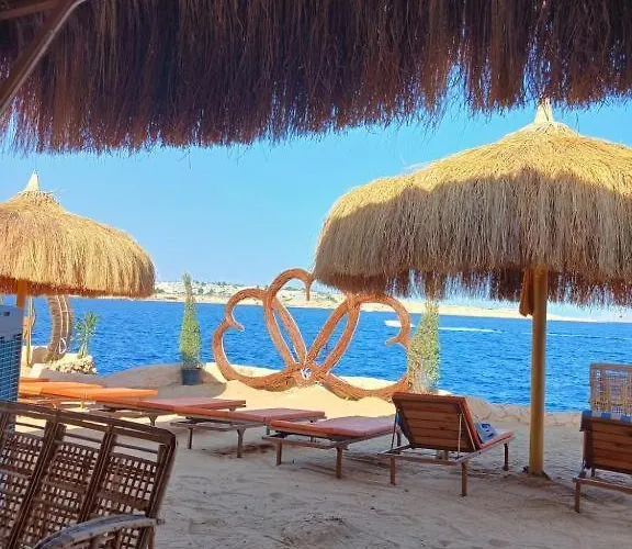 فندق Halomy 3*