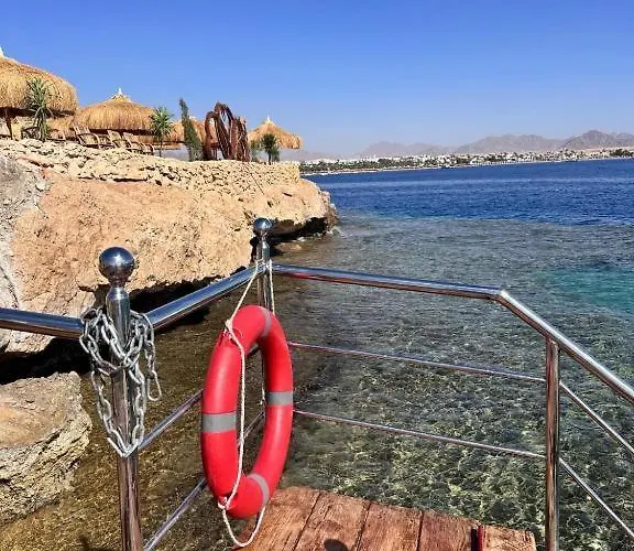 Halomy 3* شرم الشيخ
