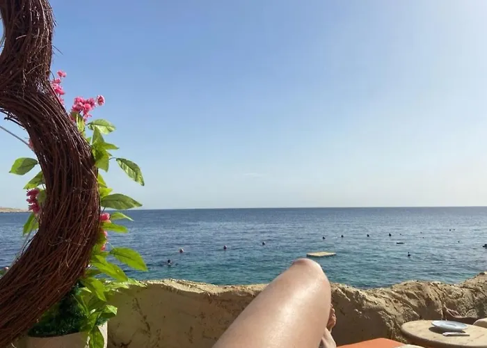 Halomy 3* Şarm El-Şeyh