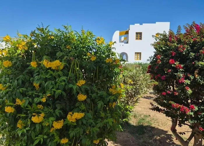 Halomy Otel