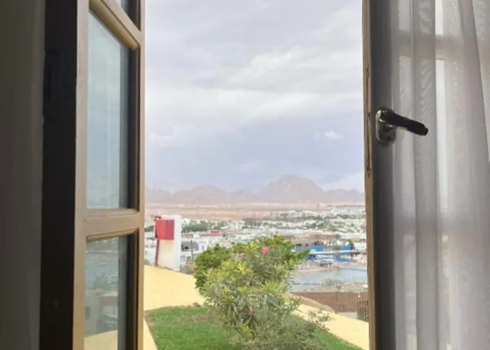 Halomy Otel Şarm El-Şeyh